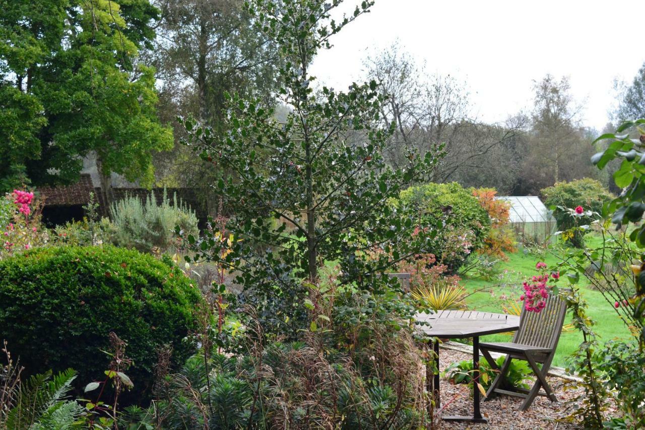 Bed and Breakfast Le Jardin Sauvage Maintenay Exterior foto