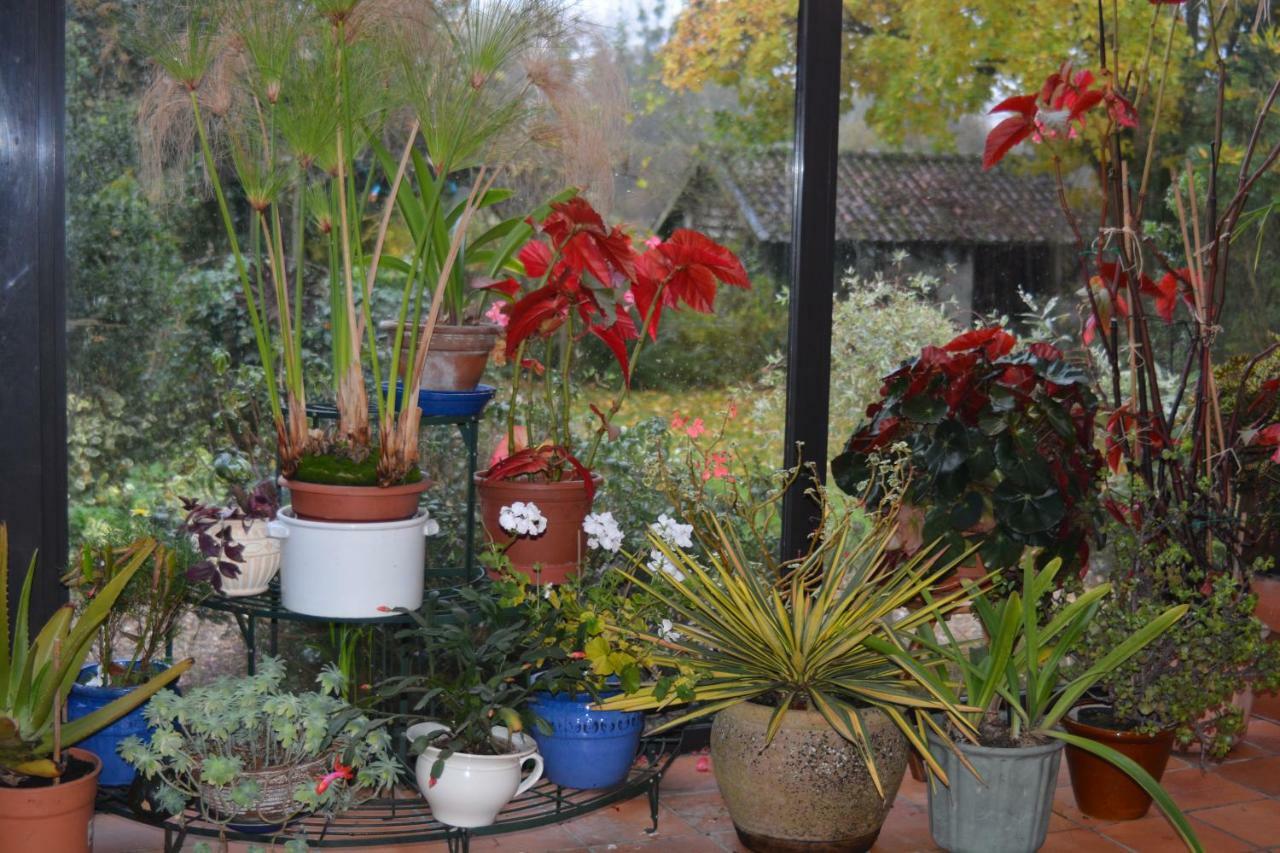 Bed and Breakfast Le Jardin Sauvage Maintenay Exterior foto